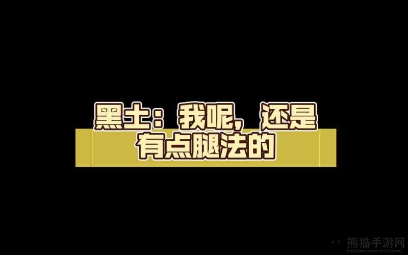 黑土腿法娴熟脚法网站搜狐网：探究其背后的故事与文化